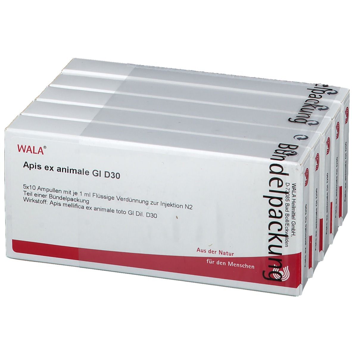 Verpackung mit Ampullen. Aufschrift: WALA Apis ex animale Gl D30. 5x10 Ampullen. Rote und weiße Verpackung.