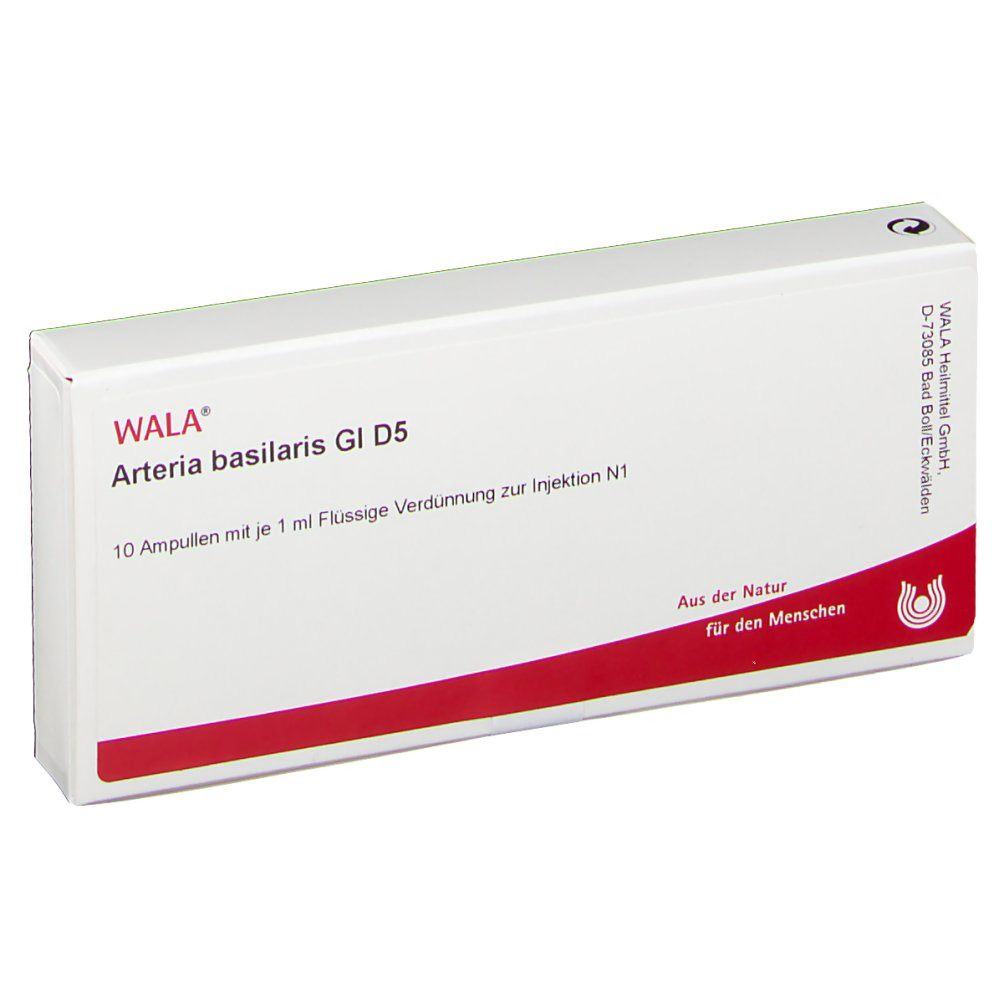 WALA® Arteria basilaris Gl D 5