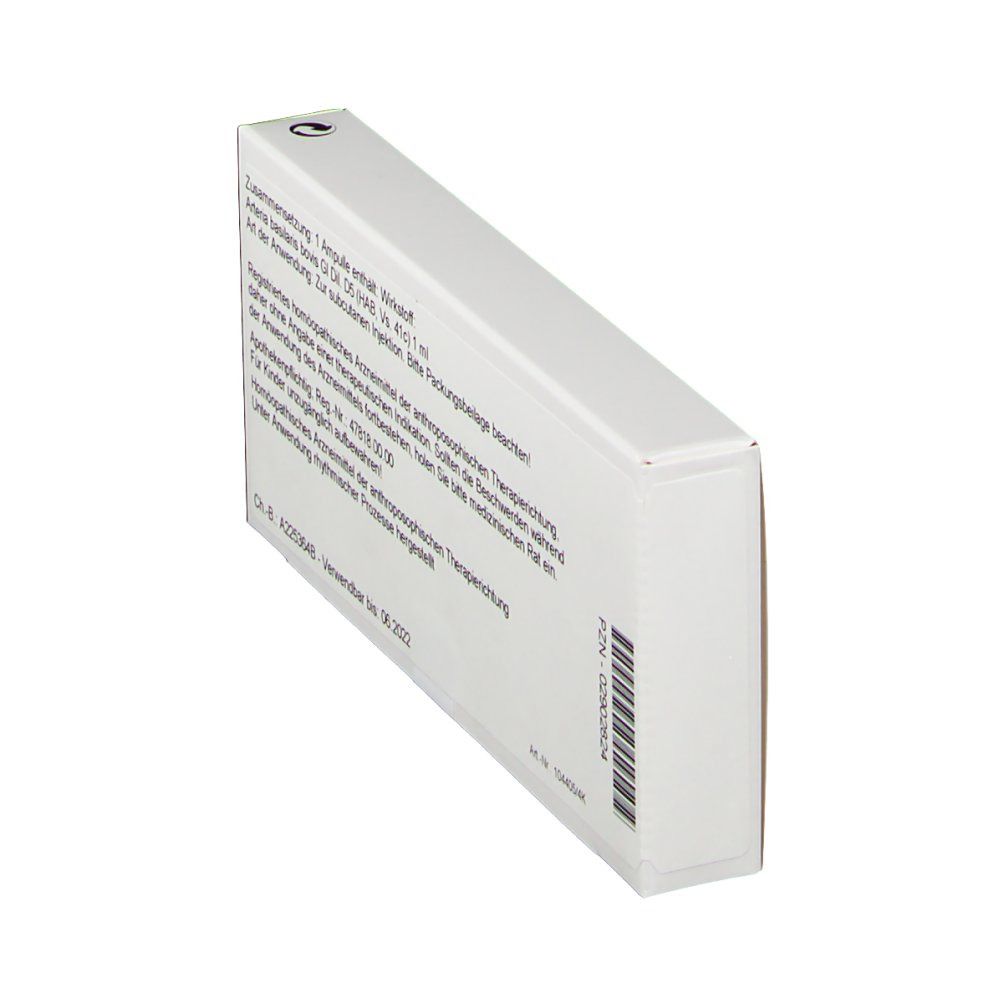 WALA® Arteria basilaris Gl D 5