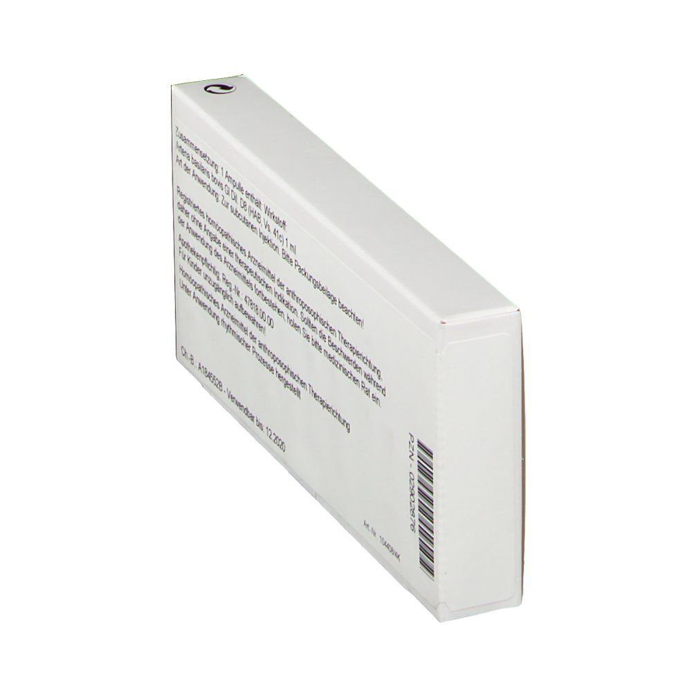 WALA® Arteria basilaris Gl D 8