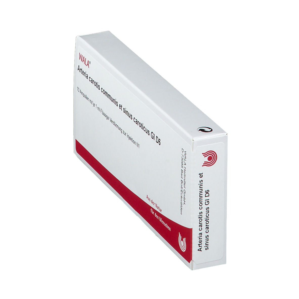 WALA® Arteria carotis communis et sinus caroticus Gl D 6