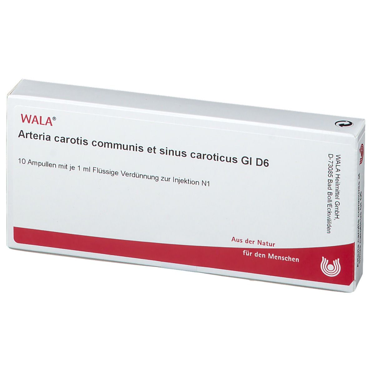 WALA® Arteria carotis communis et sinus caroticus Gl D 6