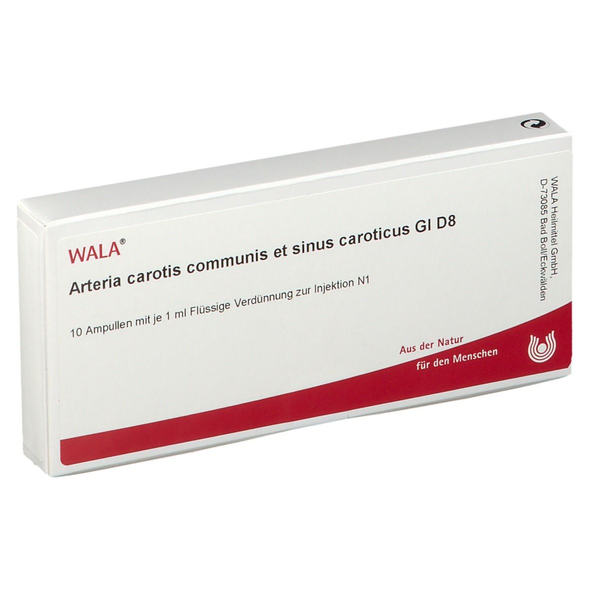 WALA® Arteria carotis communis et sinus caroticus Gl D 8