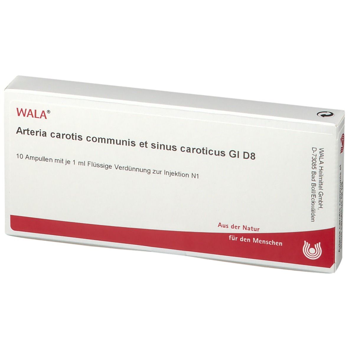WALA® Arteria carotis communis et sinus caroticus Gl D 8