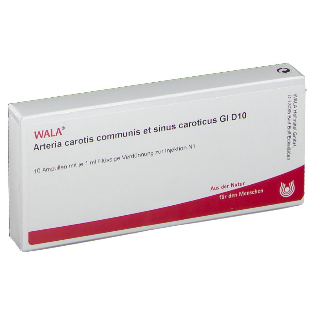 WALA® Arteria carotis communis et sinus caroticus Gl D 10