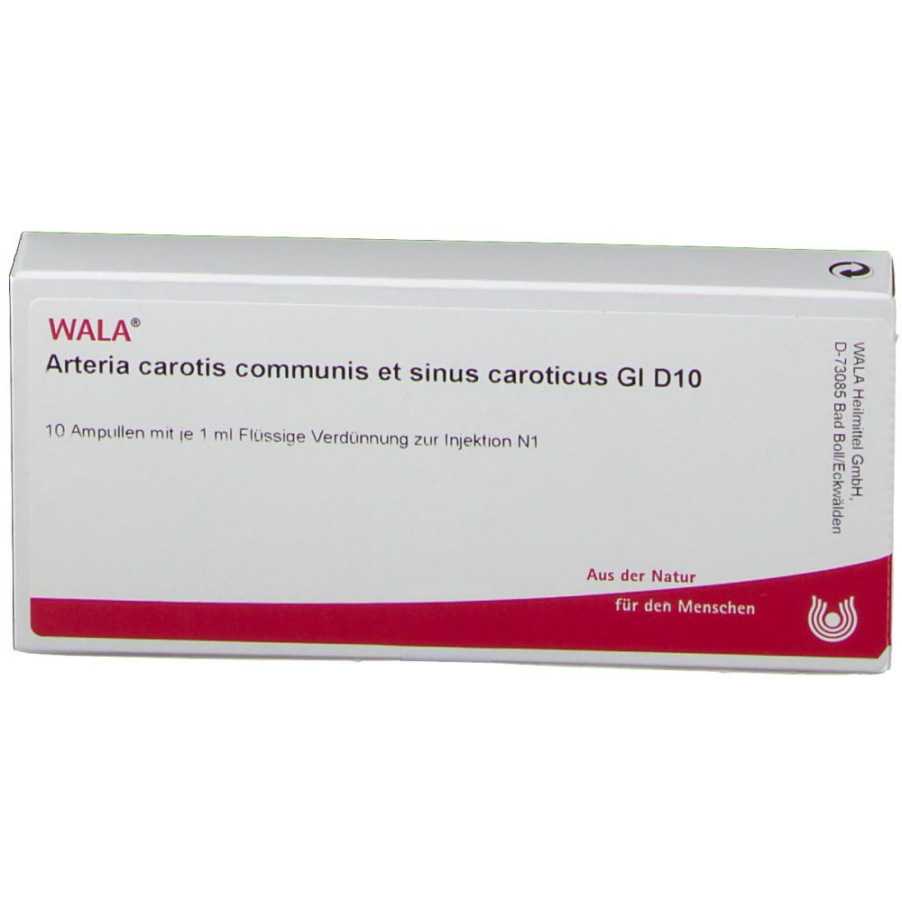WALA® Arteria carotis communis et sinus caroticus Gl D 10