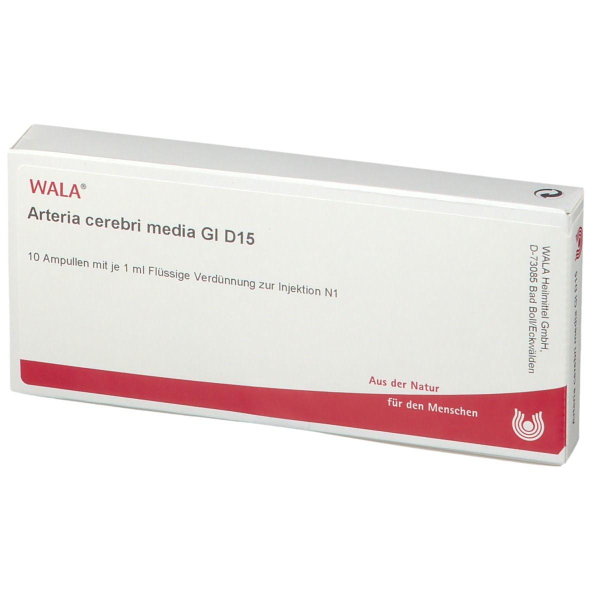 WALA® Arteria cerebri media Gl D 15