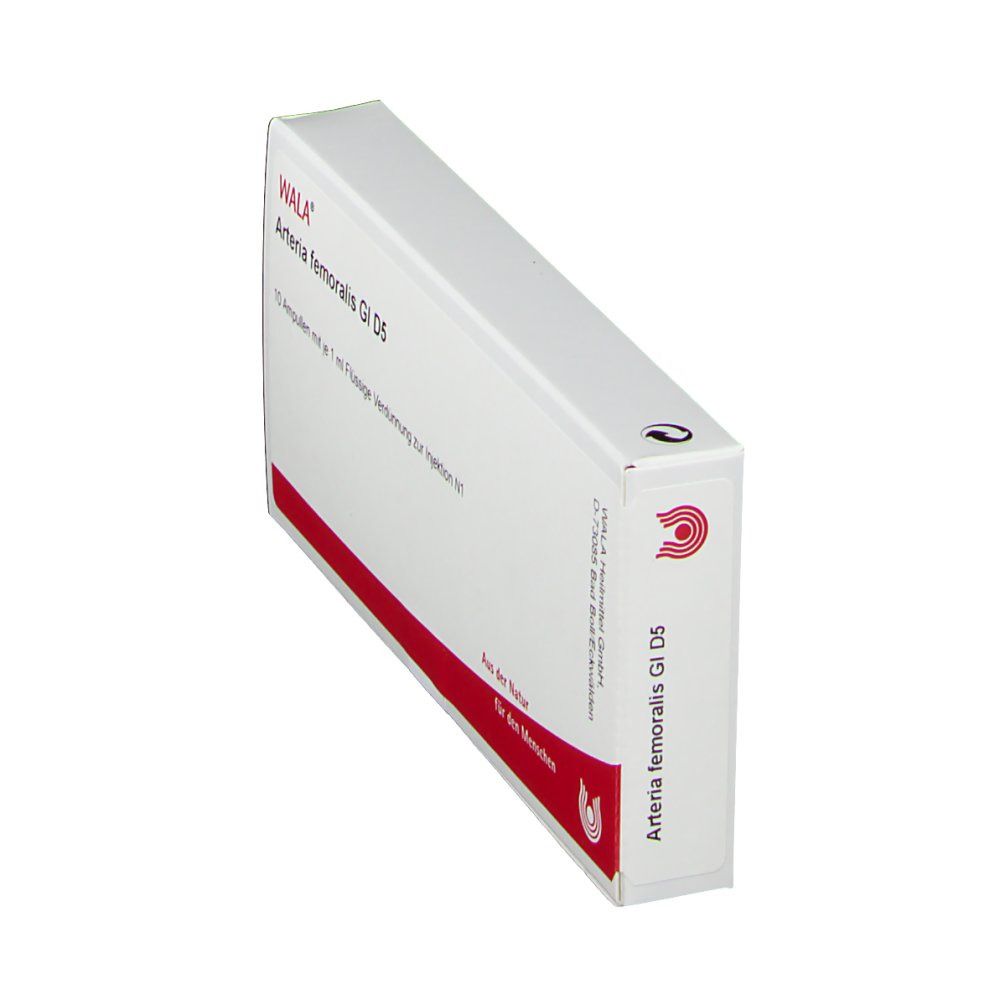 Arteria Femoralis Gl D 5 Amp.