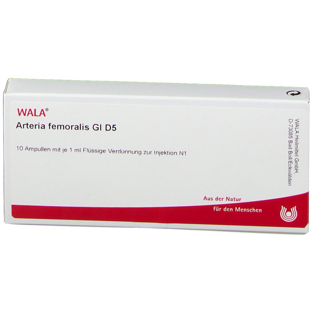 Arteria Femoralis Gl D 5 Amp.