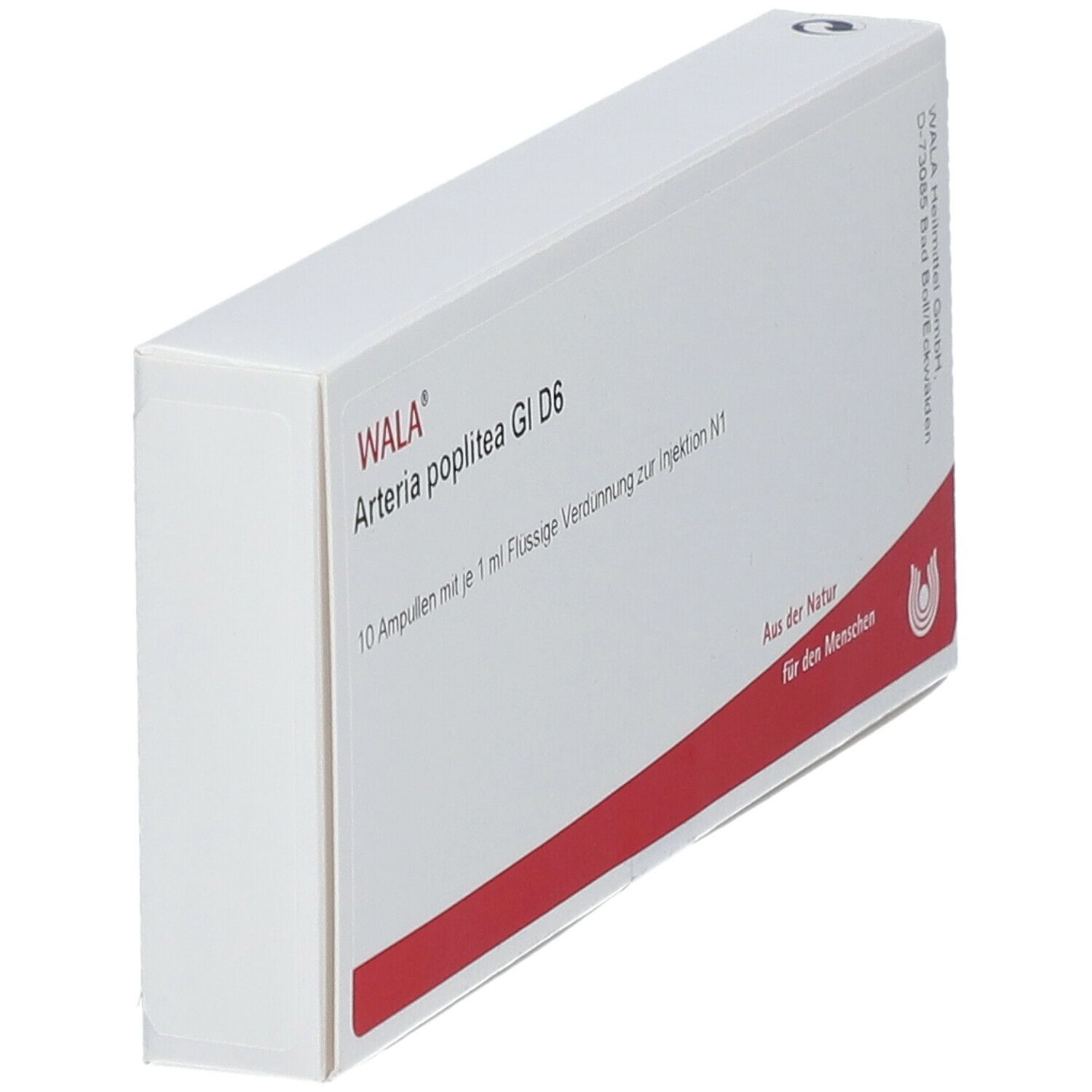 WALA® Arteria poplitea Gl D 6