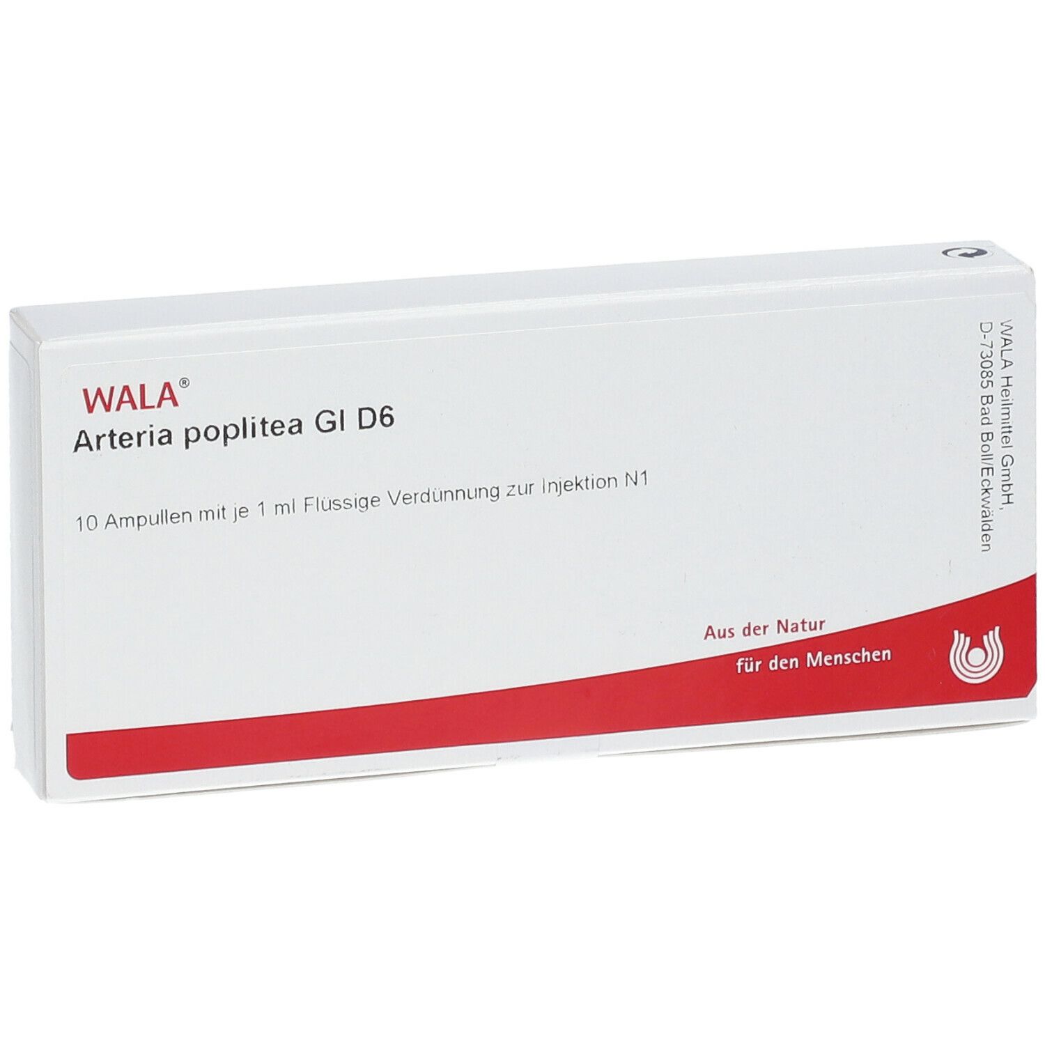 WALA® Arteria poplitea Gl D 6