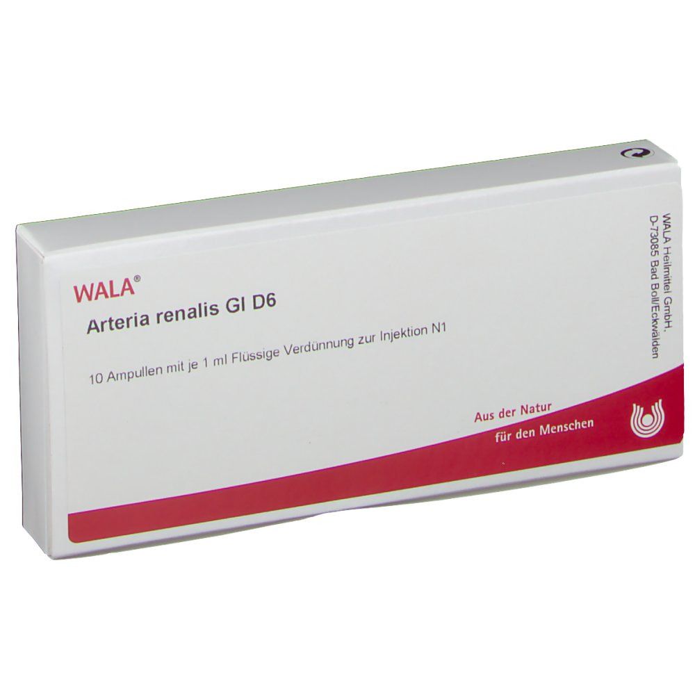 WALA® Arteria renalis Gl D 6
