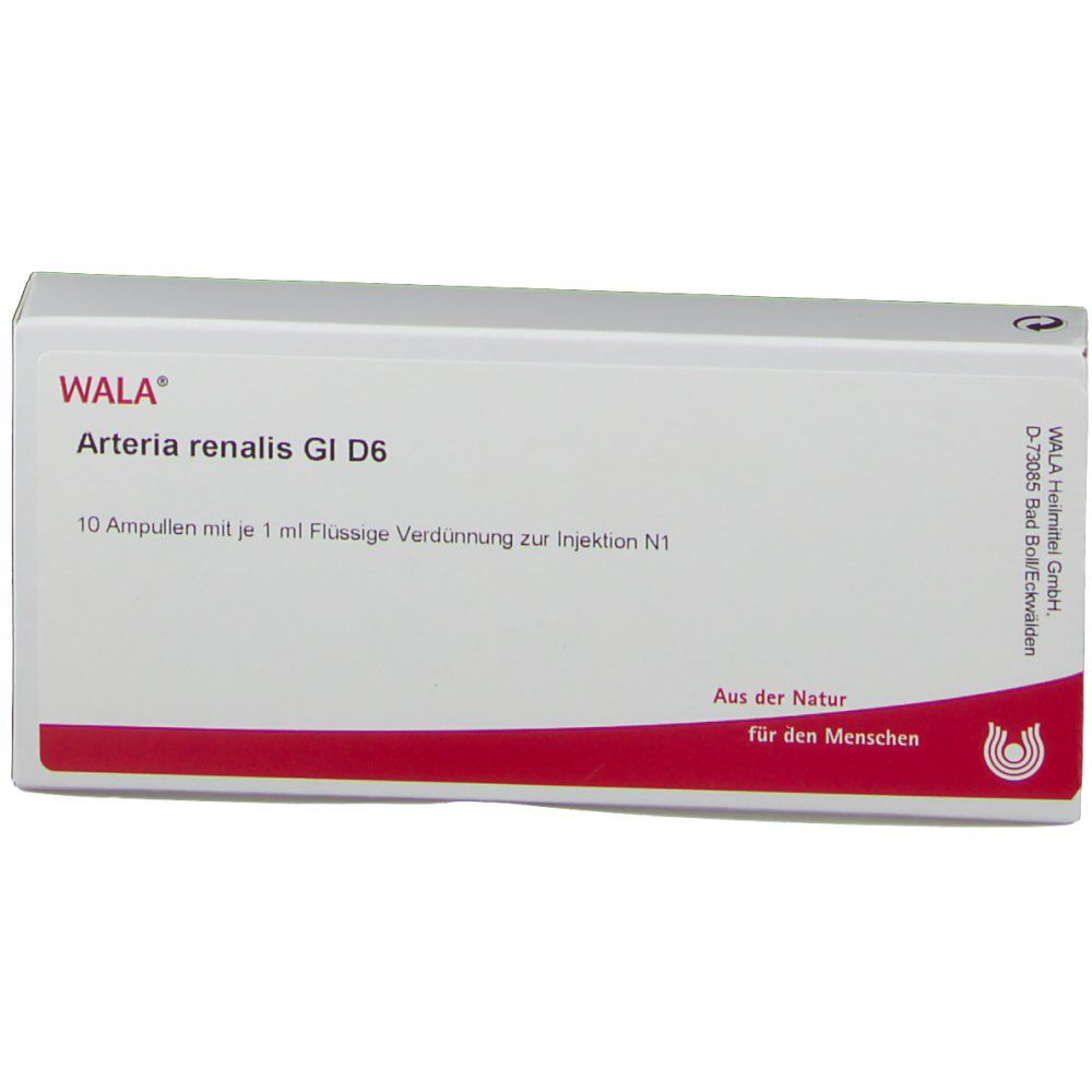 WALA® Arteria renalis Gl D 6