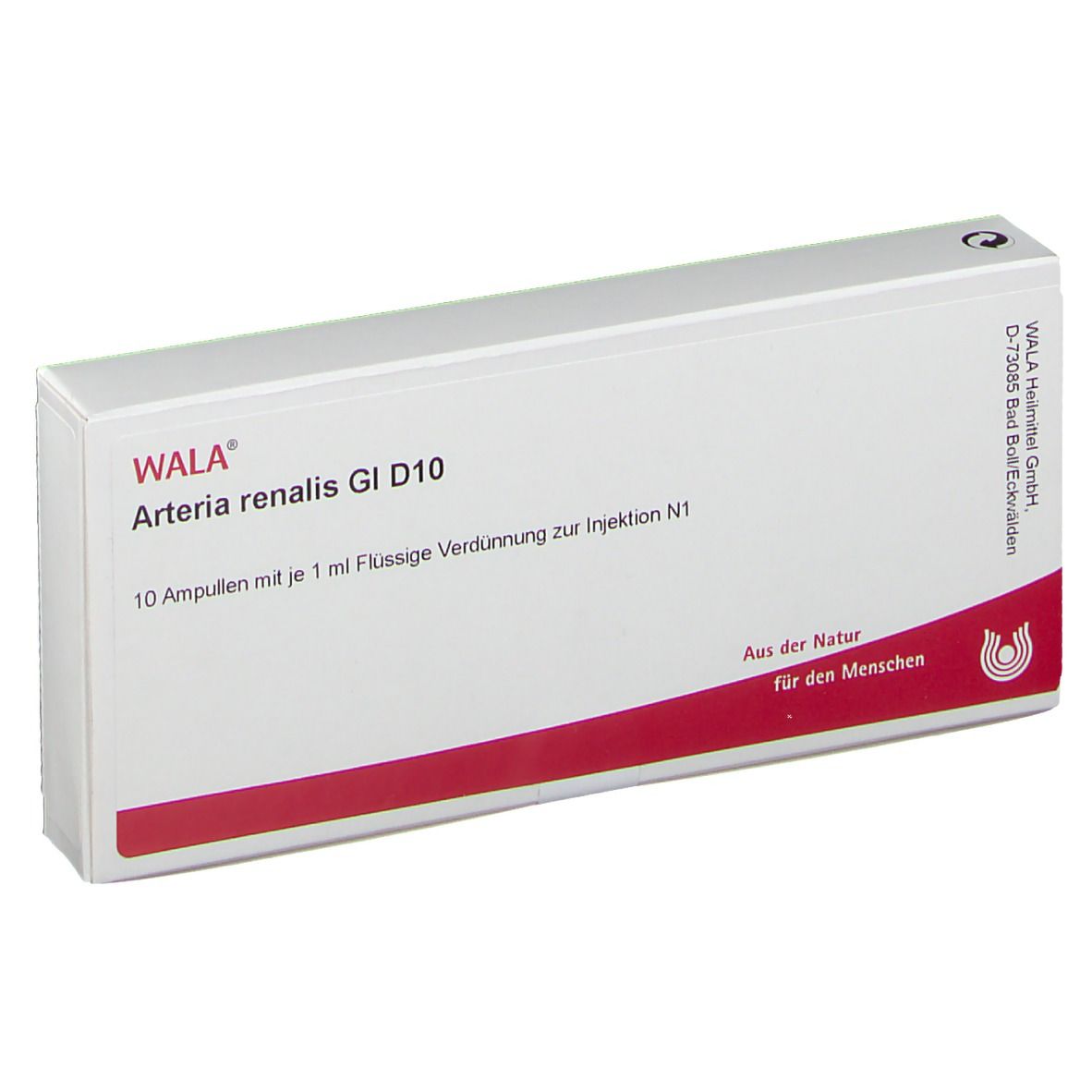 WALA® Arteria renalis Gl D 10