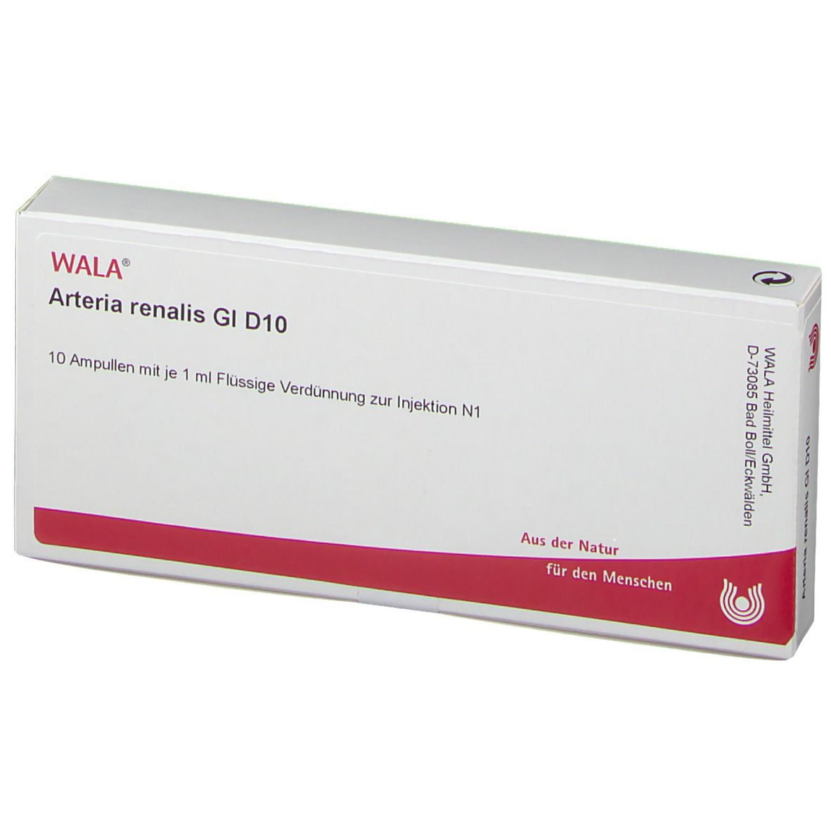 WALA® Arteria renalis Gl D 10