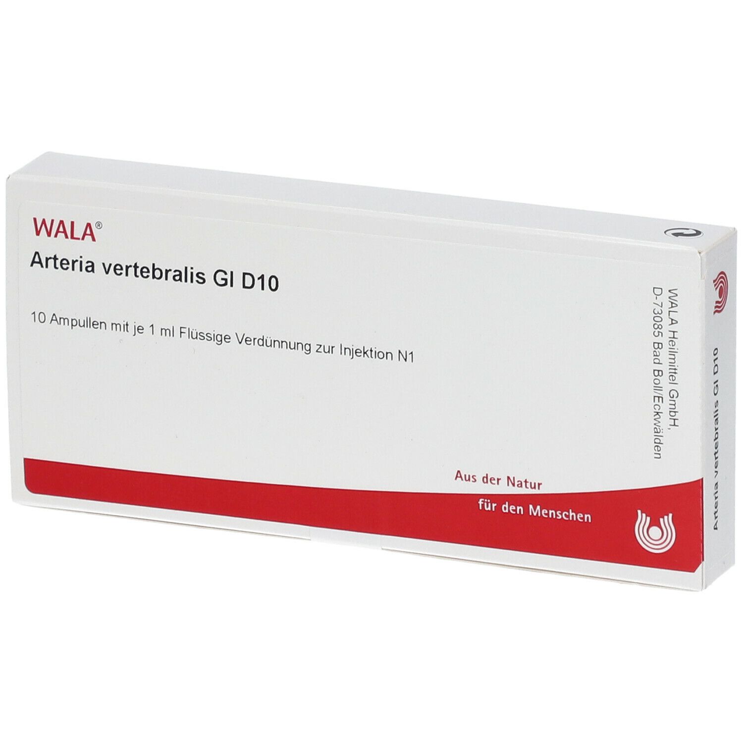 WALA® Arteria vertebralis Gl D 10