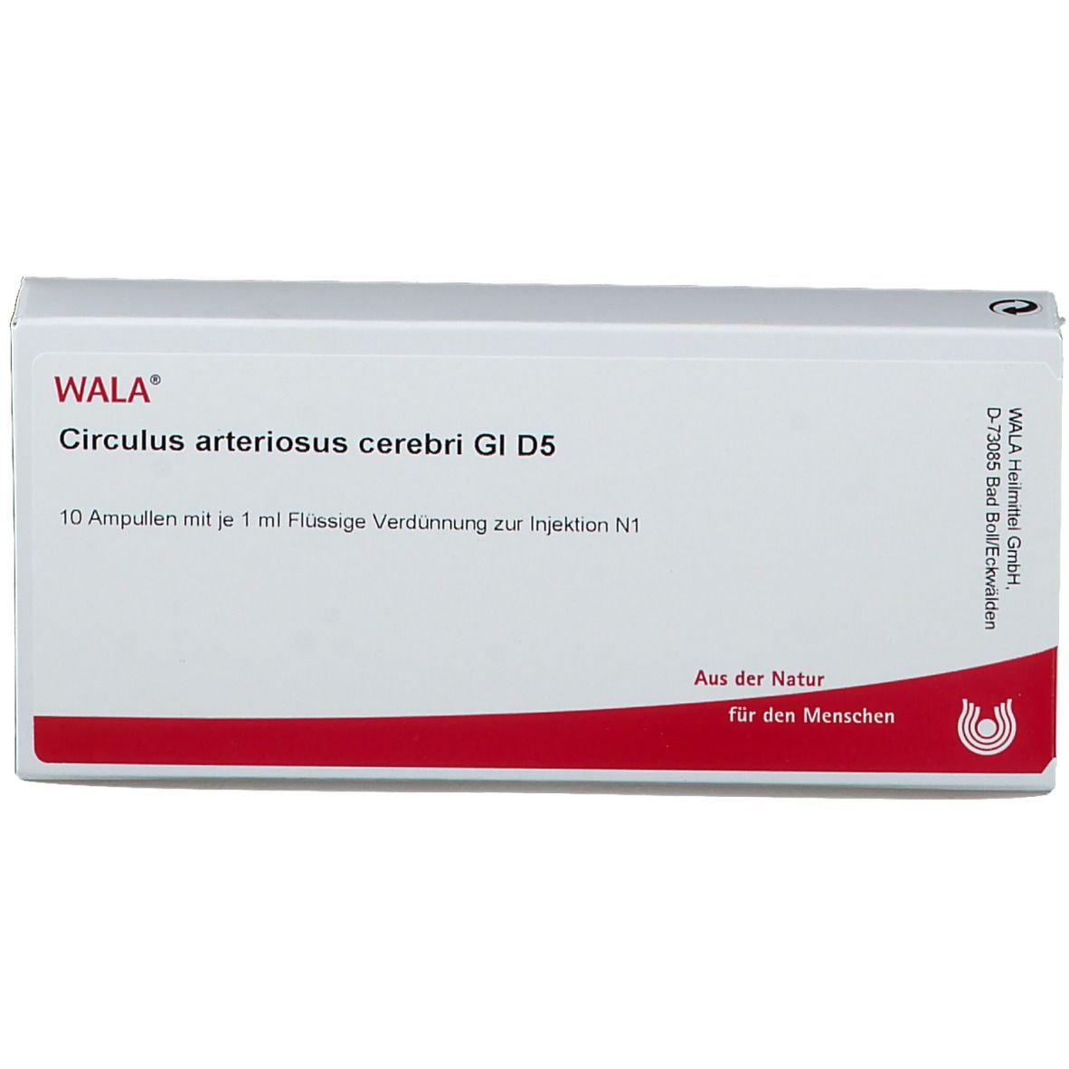 WALA® Circulus arteriosus cerebri Gl D 5
