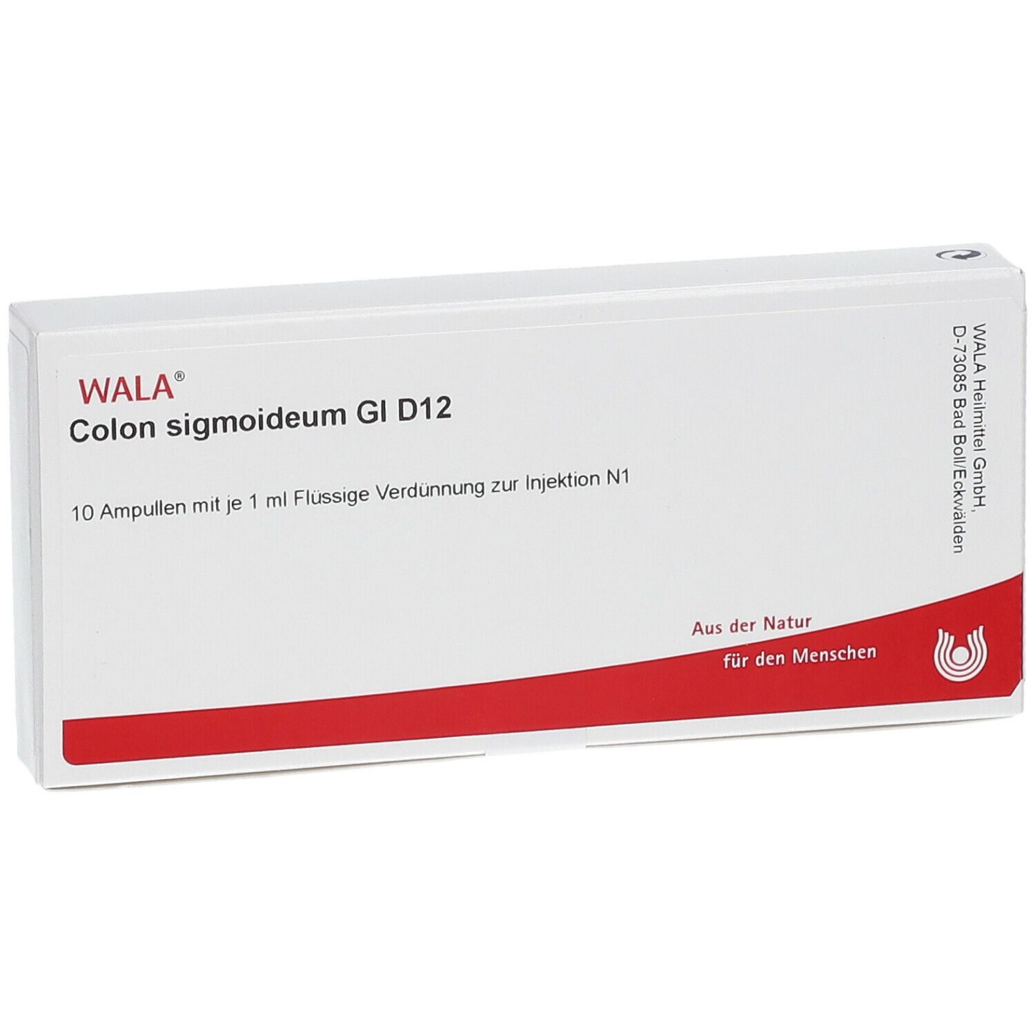 WALA® Colon sigmoideum Gl D 12