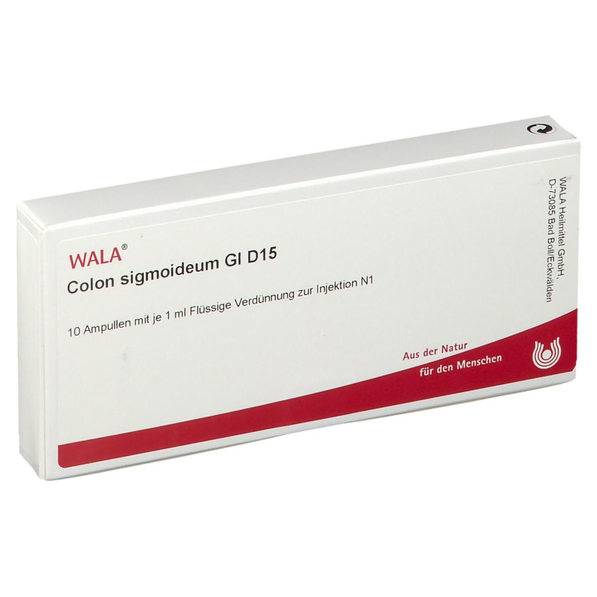 WALA® Colon sigmoideum Gl D 15