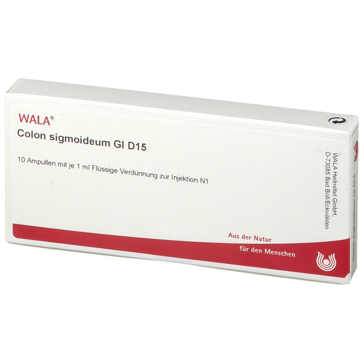 WALA® Colon sigmoideum Gl D 15