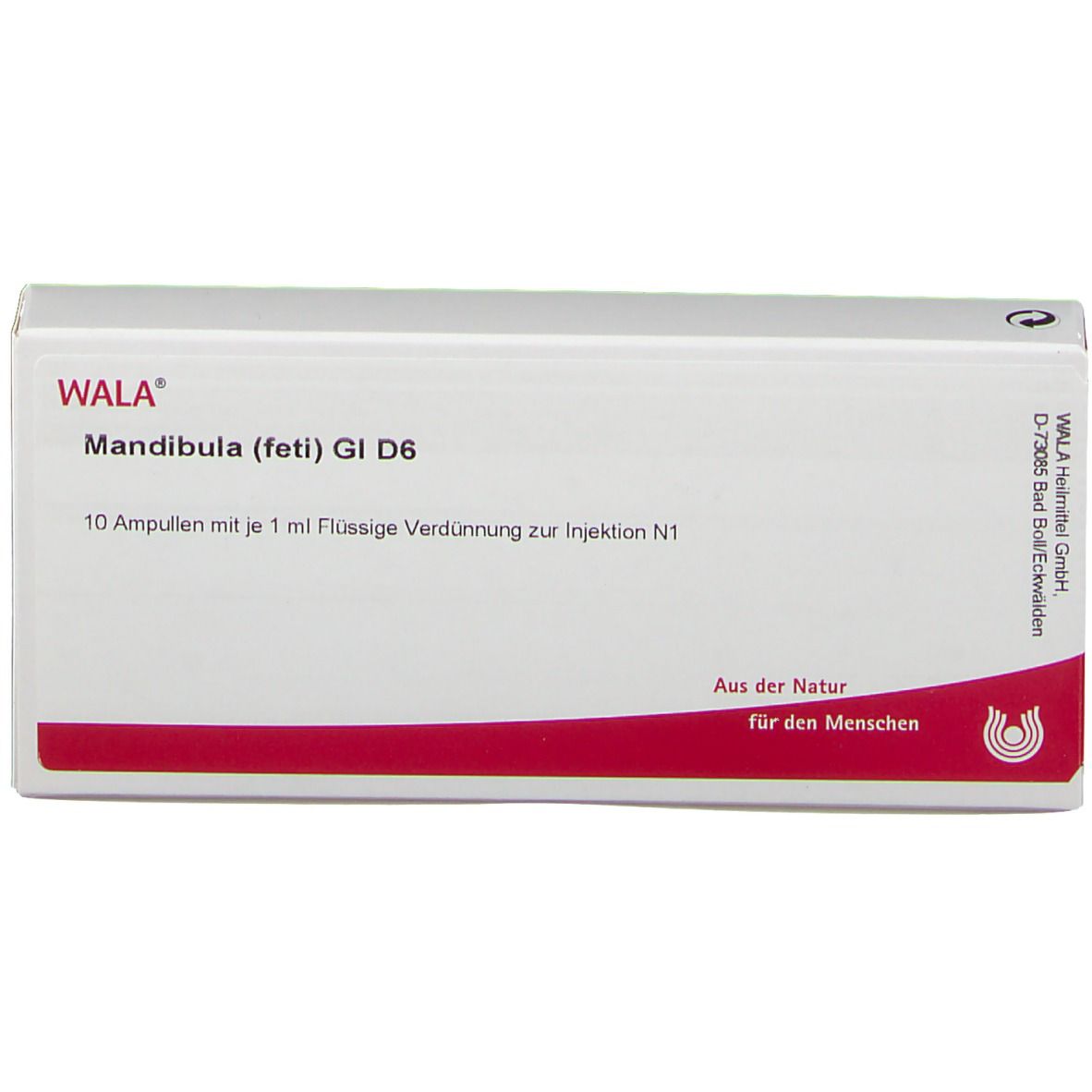 WALA® Mandibula feti Gl D 6
