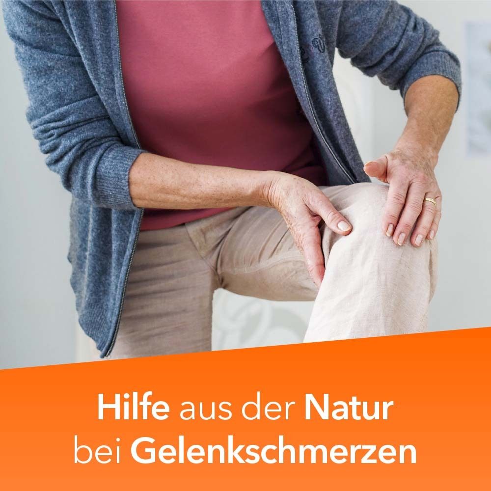 Teufelskralle ratiopharm - bei Gelenkschmerz