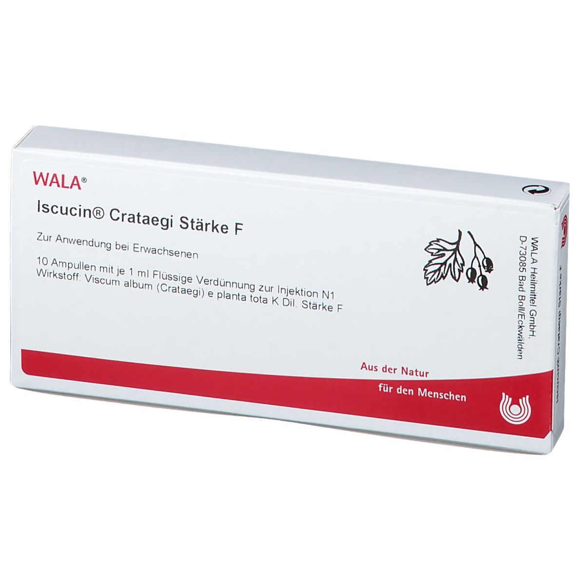 WALA® Iscucin Crataegi Staerke F Amp.