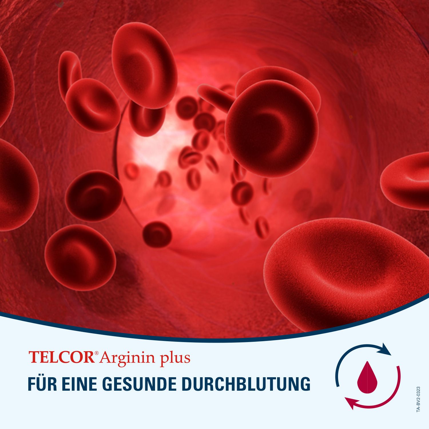 TELCOR Arginin plus B-Vitamine zur Unterstützung bei leichtem Bluthochdruck + Durchblutungsstörungen