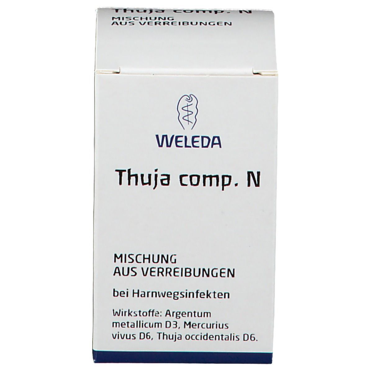 Thuja comp. N