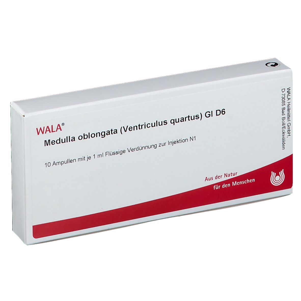 WALA® Medulla oblongata Ventriculus quartus Gl D 6