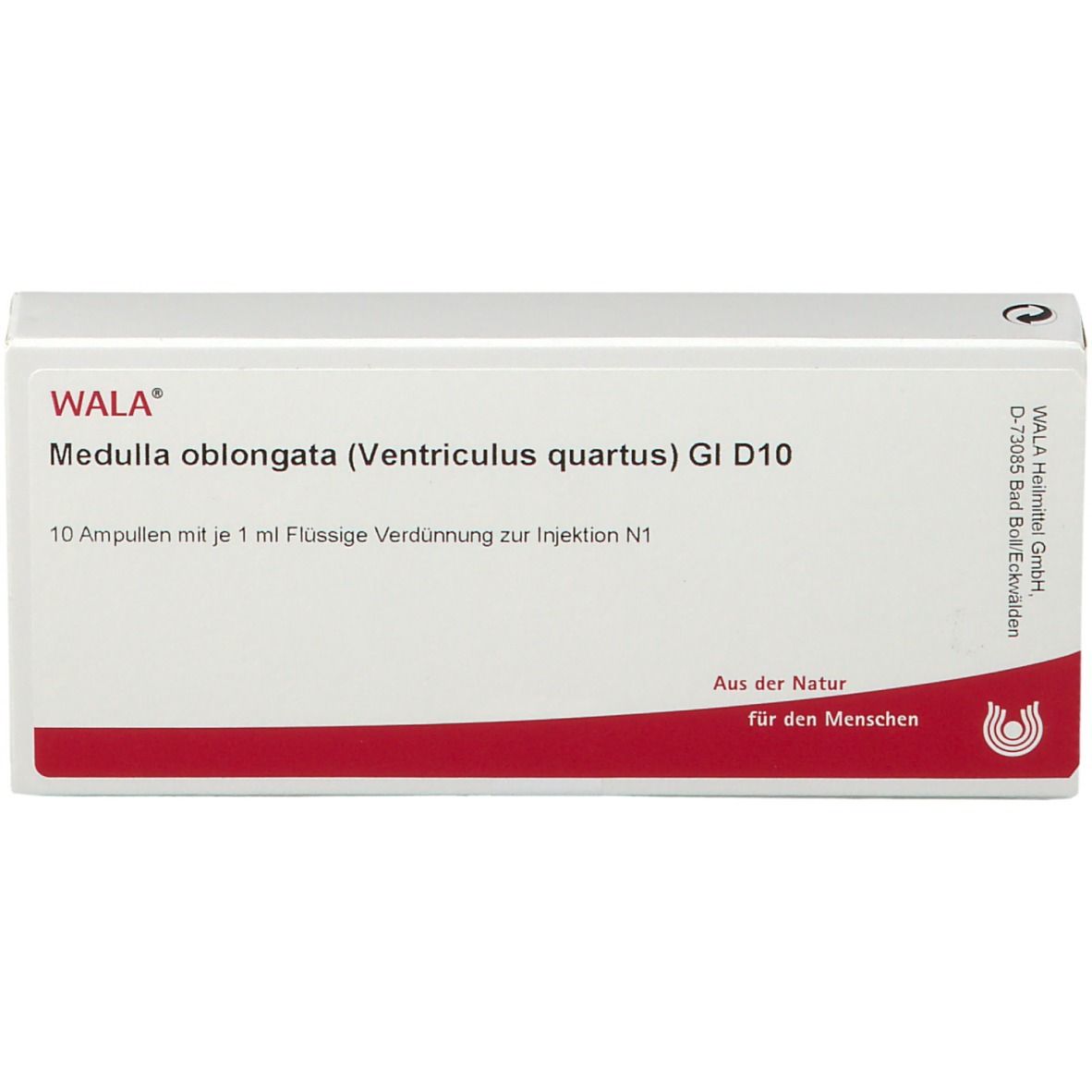 WALA® Medulla oblongata Ventriculus quartus Gl D 10