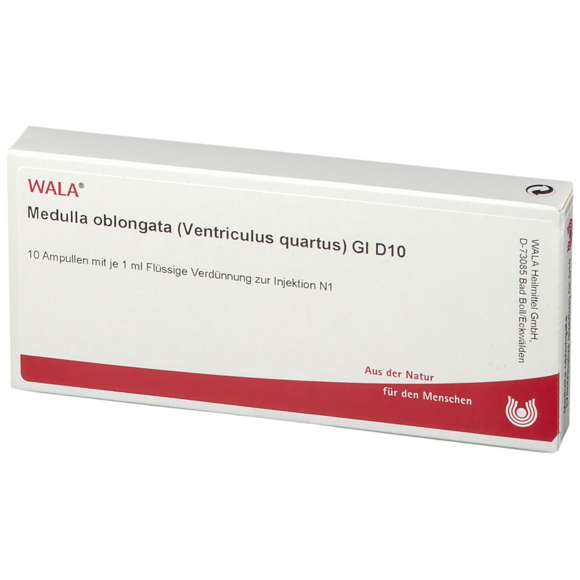 WALA® Medulla oblongata Ventriculus quartus Gl D 10