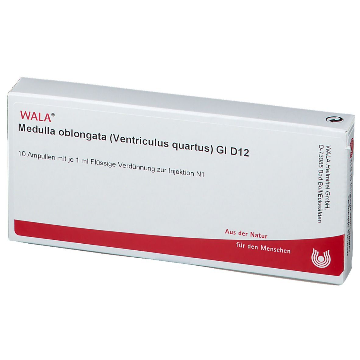 Weiße Faltschachtel mit roter Linie. Aufschrift: WALA Medulla oblongata (Ventriculus quartus) GI D12. 10 Ampullen.