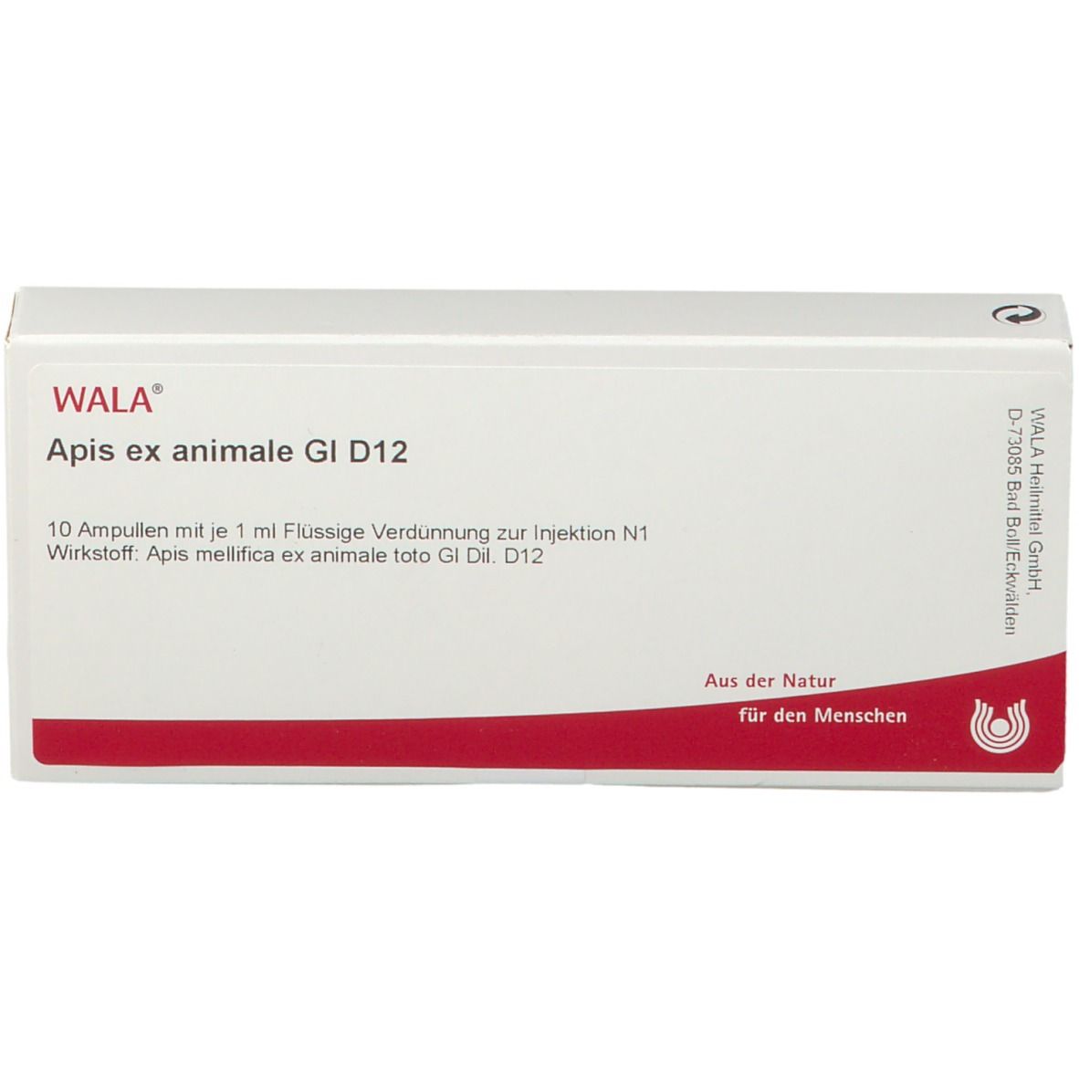 WALA® Apis Ex Animale Gl D 12 Amp.