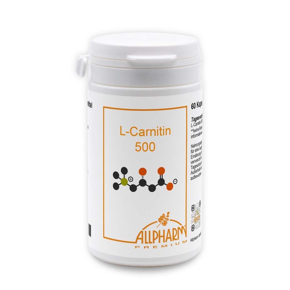 L-Carnitin 500 mg Kapseln