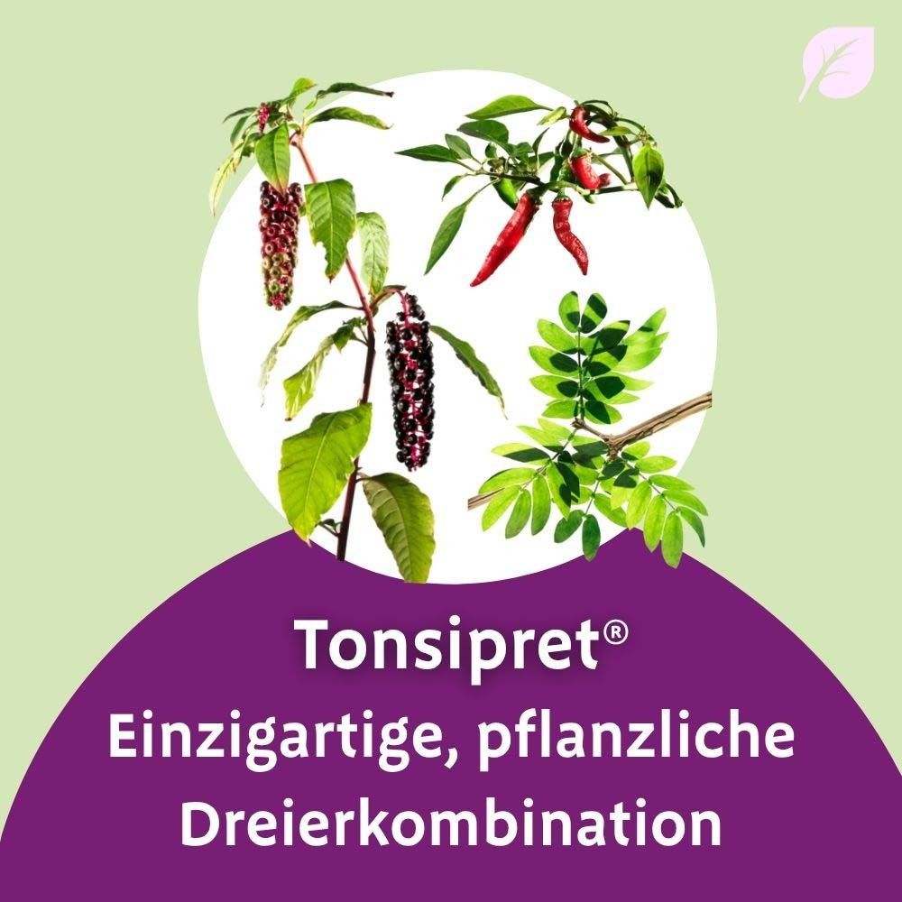 Illustration von Pflanzen. Text: Tonsipret, einzigartige pflanzliche Dreierkombination. Lila Hintergrund.