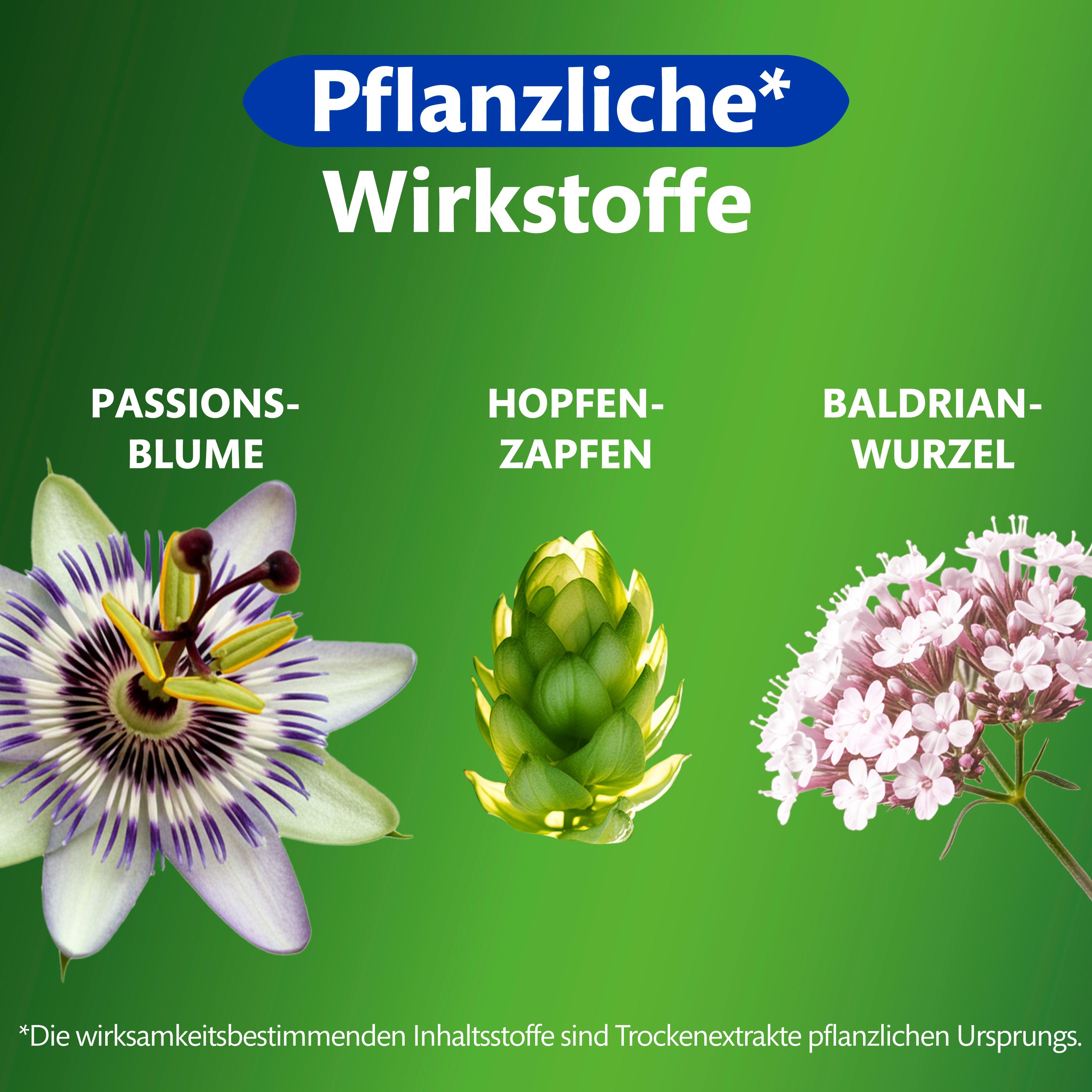 Pflanzliche Wirkstoffe: Passionsblume, Hopfenzapfen und Baldrianwurzel. Illustrationen der Pflanzen.