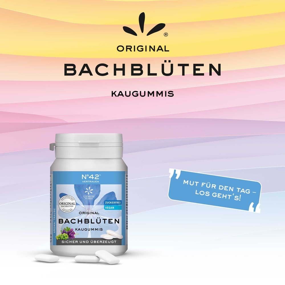 Produkt-Dose und Kaugummis auf farbigem Hintergrund. Aufschrift: Original Bachblüten Kaugummis. Zitat: Mut für den Tag - Los geht's!