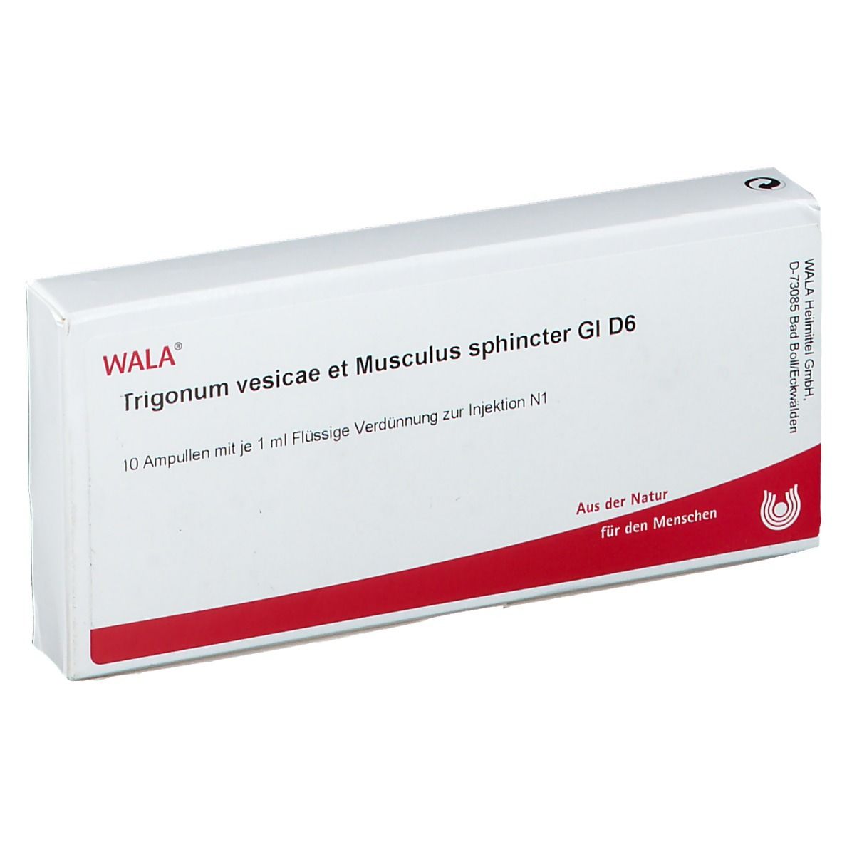 WALA® Trigonum vesicae et Musculus sphincter Gl D 6