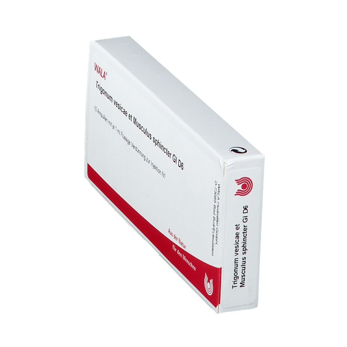 WALA® Trigonum vesicae et Musculus sphincter Gl D 6