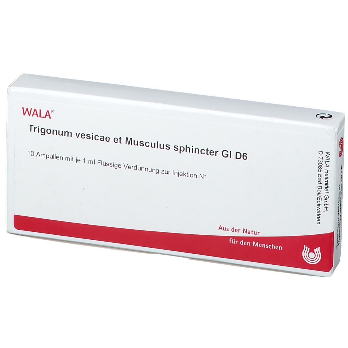 WALA® Trigonum vesicae et Musculus sphincter Gl D 6