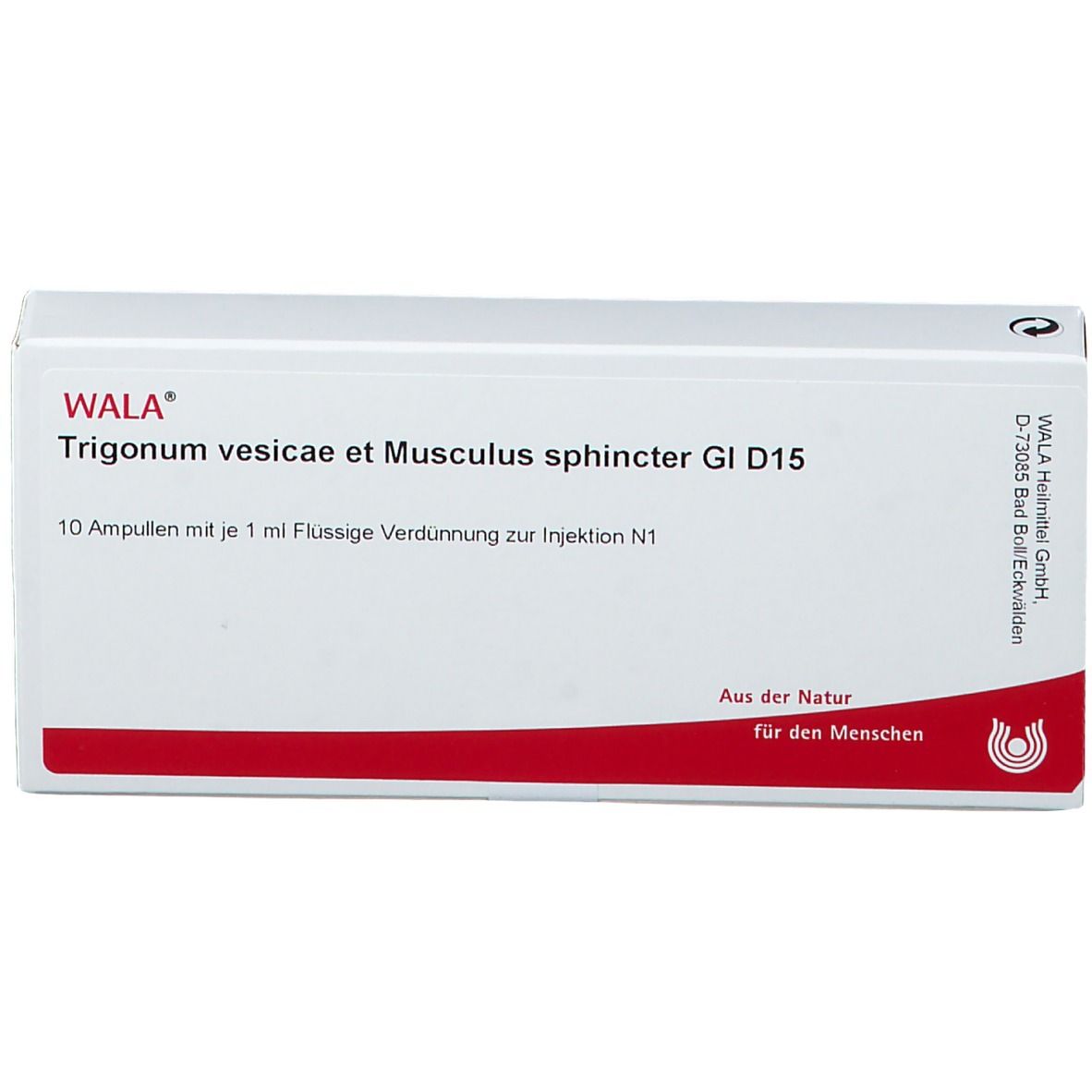 WALA® Trigonum vesicae et Musculus sphincter Gl D 15
