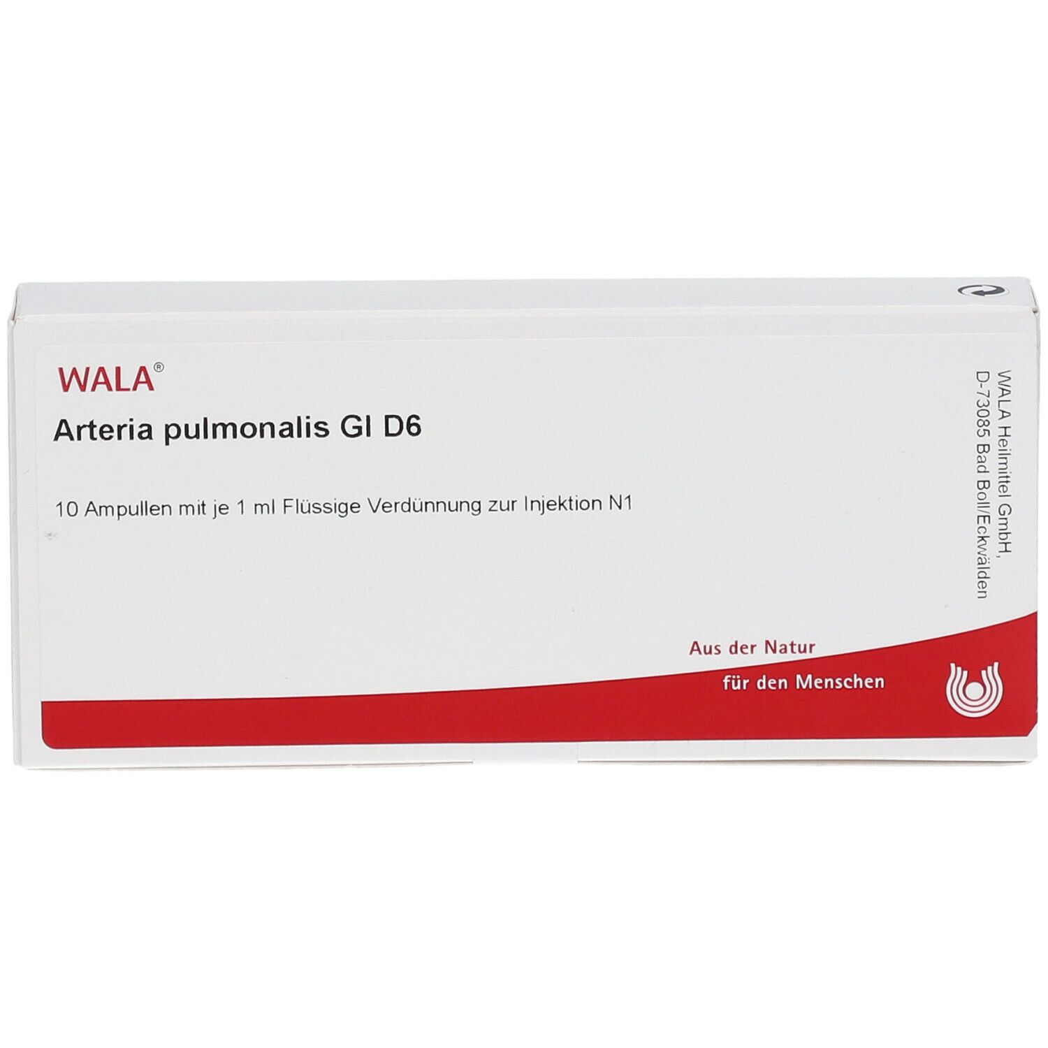 WALA® Arteria pulmonalis Gl D 6