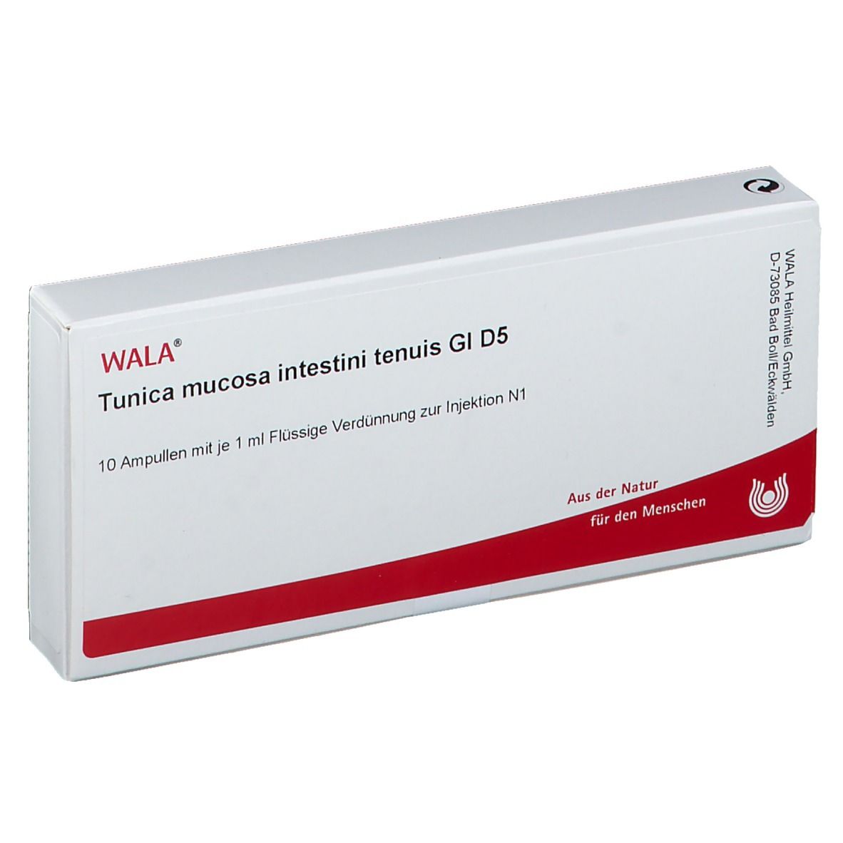 WALA® Tunica mucosa intestini tenuis Gl D 5
