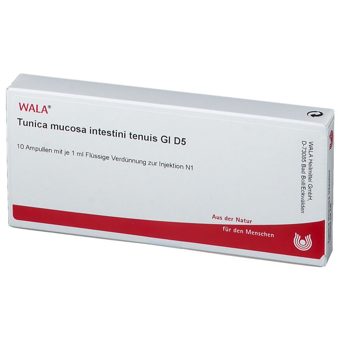WALA® Tunica mucosa intestini tenuis Gl D 5