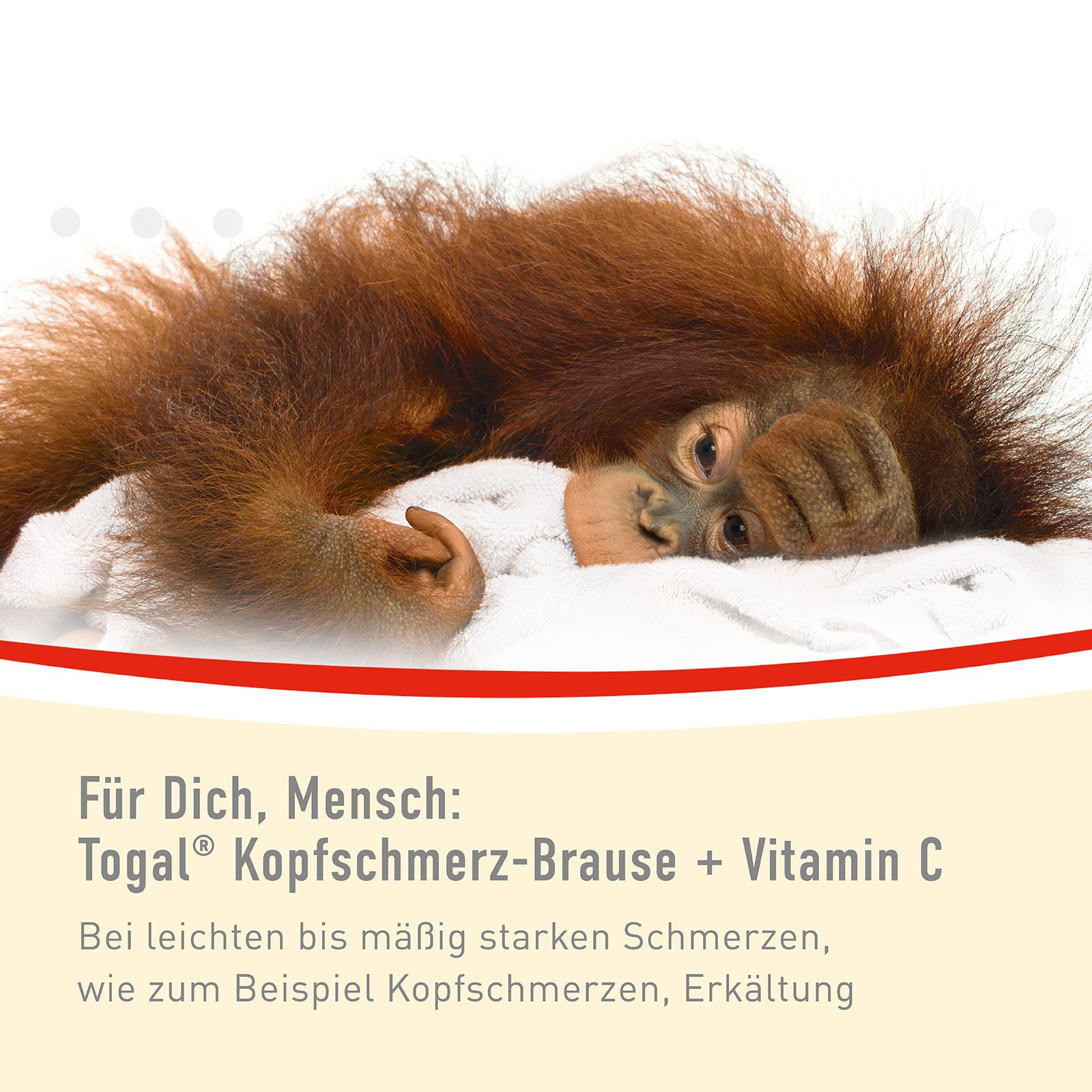 Togal® Kopfschmerz-Brause + Vitamin C