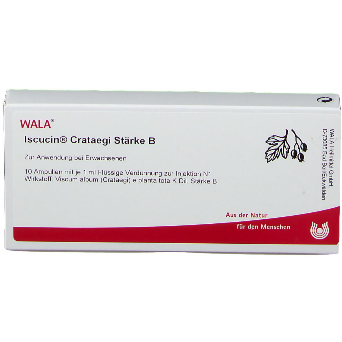 WALA® Iscucin Crataegi Stärke B Ampullen