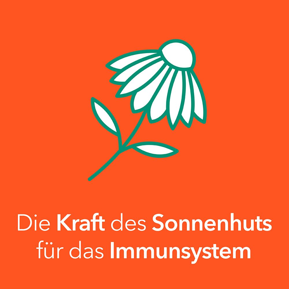 Orangefarbener Hintergrund mit Sonnenhut-Blüte. Text: Die Kraft des Sonnenhuts für das Immunsystem.