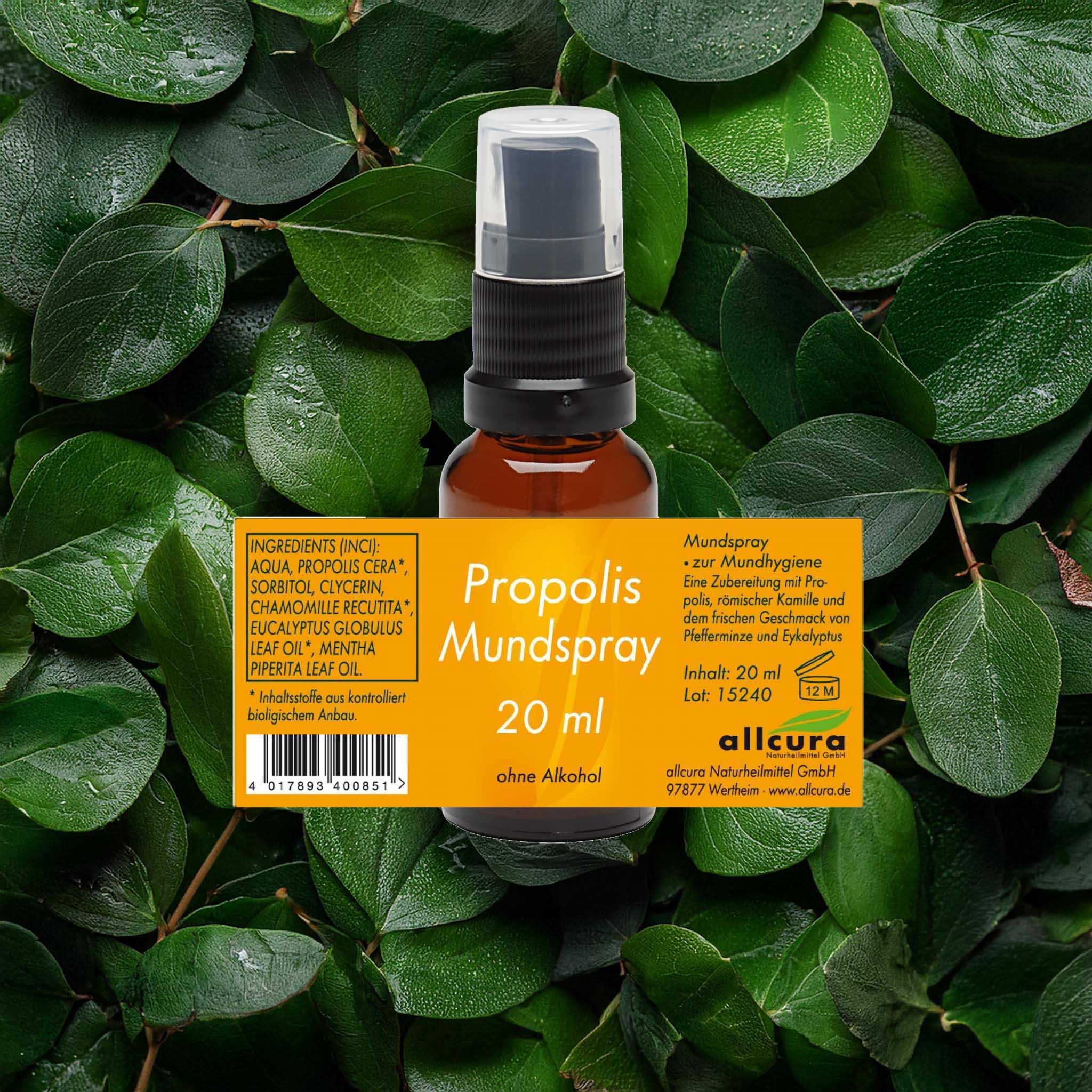 Braune Sprühflasche vor grünem Hintergrund. Aufkleber mit Inhaltsstoffen und Text: Propolis Mundspray, 20 ml, ohne Alkohol.