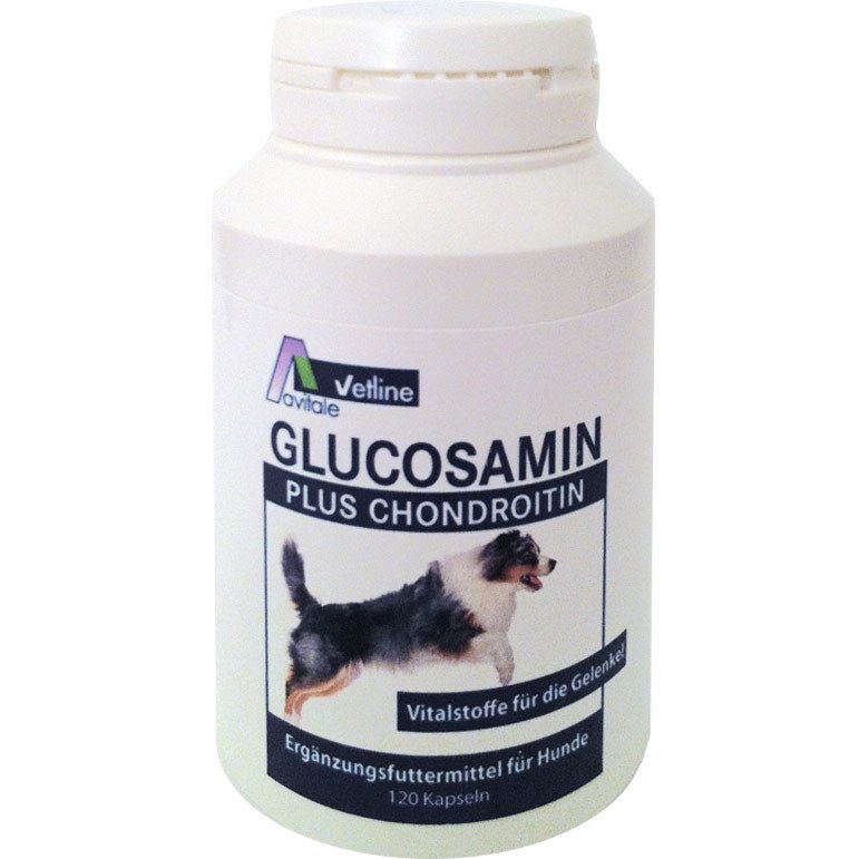Glucosamin + Chondroitin 120 St Kapseln